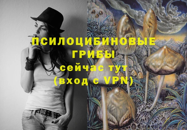 гашиш Няндома