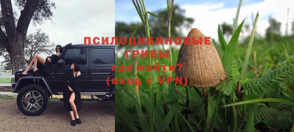 каннабис Аркадак