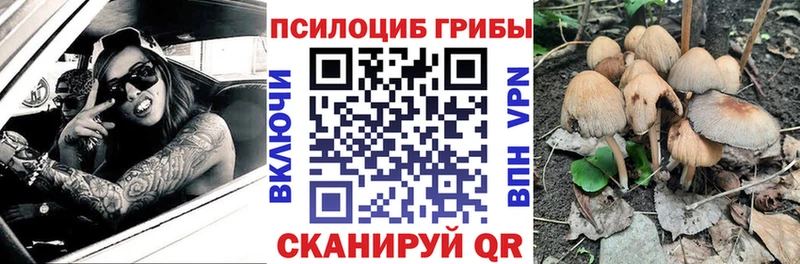 цены   площадка формула  Галлюциногенные грибы мухоморы  Новоузенск 